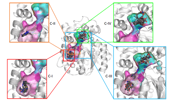 2021-06-01 – New publication in Drug Discovery Today