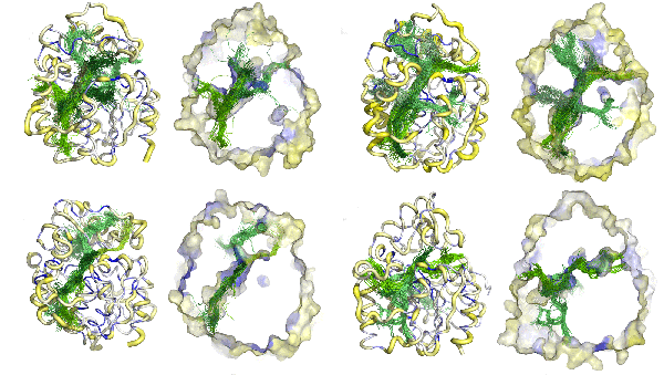 2021-12-10 – New preprint in bioRxiv