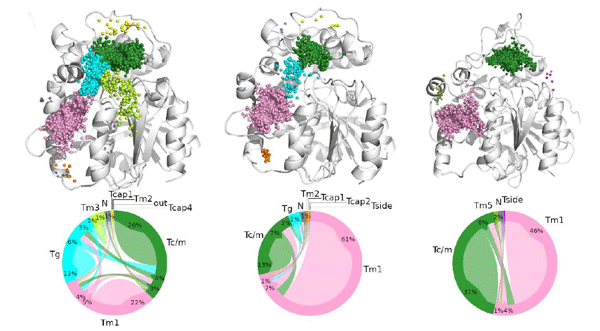 2021-12-13 – New publication in Computational and Structural Biotechnology Journal