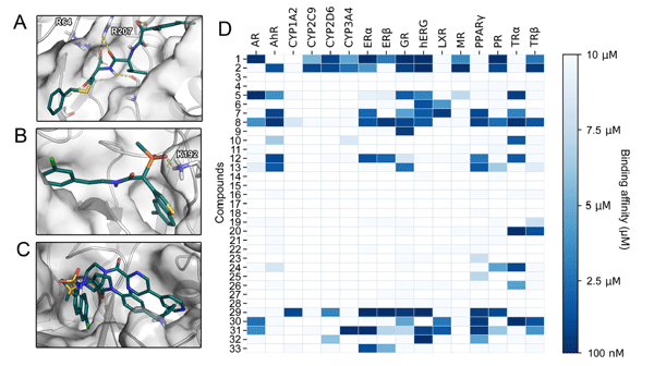 2021-02-21 – New publication about SARS-CoV-2 main protease.