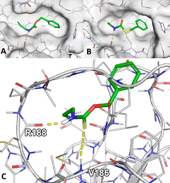 2021-11-12 – New publications on SARS-CoV-2 Mpro